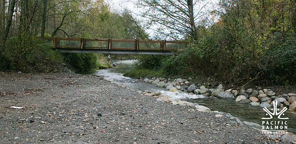 TRESTLE PLANTING - BROWNLANDS WETLAND RESTORATION PROJECT - Sombilon Photography-56
