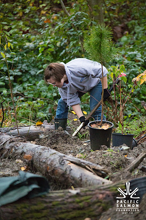 TRESTLE PLANTING - BROWNLANDS WETLAND RESTORATION PROJECT - Sombilon Photography-71
