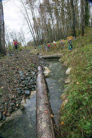 TRESTLE PLANTING - BROWNLANDS WETLAND RESTORATION PROJECT - Sombilon Photography-86