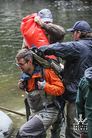 Seymour Salmon Society Fish Rescue - Sombilon Photography-68