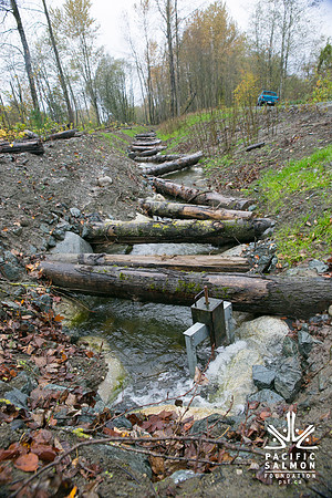 TRESTLE PLANTING - BROWNLANDS WETLAND RESTORATION PROJECT - Sombilon Photography-146