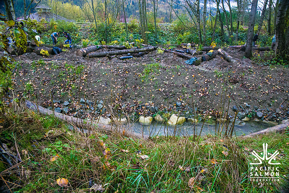 TRESTLE PLANTING - BROWNLANDS WETLAND RESTORATION PROJECT - Sombilon Photography-133