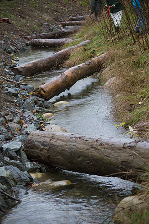 TRESTLE PLANTING - BROWNLANDS WETLAND RESTORATION PROJECT - Sombilon Photography-83