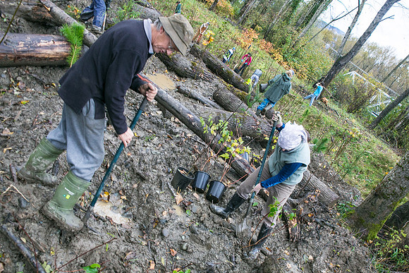 TRESTLE PLANTING - BROWNLANDS WETLAND RESTORATION PROJECT - Sombilon Photography-121