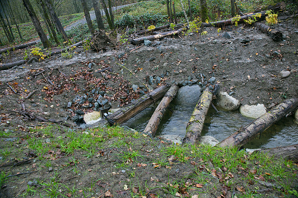 TRESTLE PLANTING - BROWNLANDS WETLAND RESTORATION PROJECT - Sombilon Photography-137
