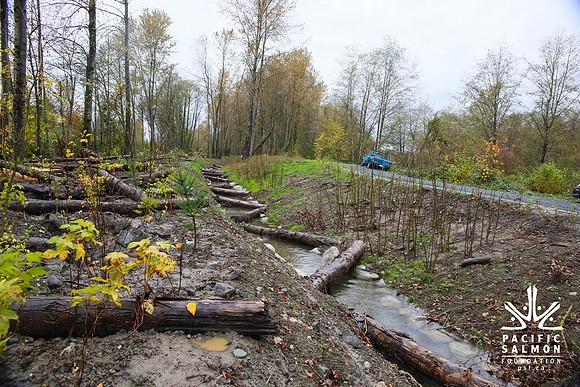TRESTLE PLANTING - BROWNLANDS WETLAND RESTORATION PROJECT - Sombilon Photography-156