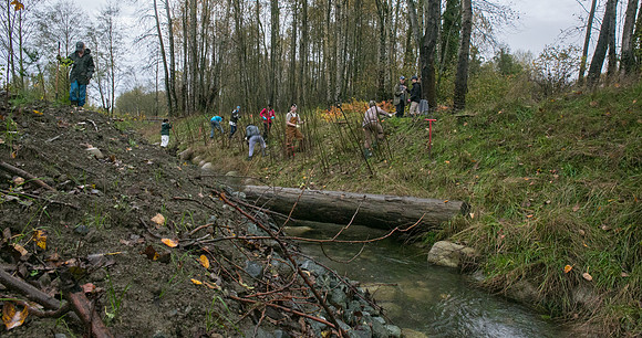 TRESTLE PLANTING - BROWNLANDS WETLAND RESTORATION PROJECT - Sombilon Photography-91