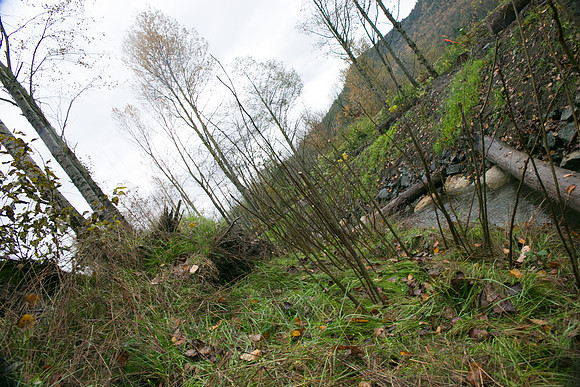 TRESTLE PLANTING - BROWNLANDS WETLAND RESTORATION PROJECT - Sombilon Photography-131