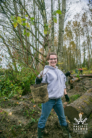 TRESTLE PLANTING - BROWNLANDS WETLAND RESTORATION PROJECT - Sombilon Photography-2
