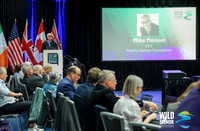 I - Wild Salmon Connections -PSF-7