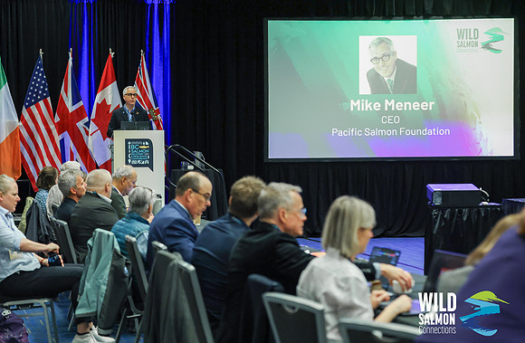 I - Wild Salmon Connections -PSF-7