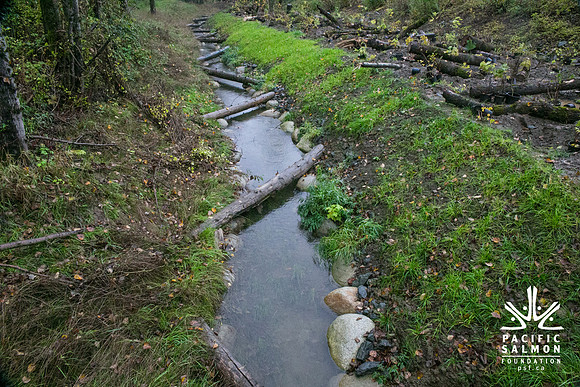 TRESTLE PLANTING - BROWNLANDS WETLAND RESTORATION PROJECT - Sombilon Photography-20