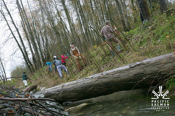 TRESTLE PLANTING - BROWNLANDS WETLAND RESTORATION PROJECT - Sombilon Photography-98