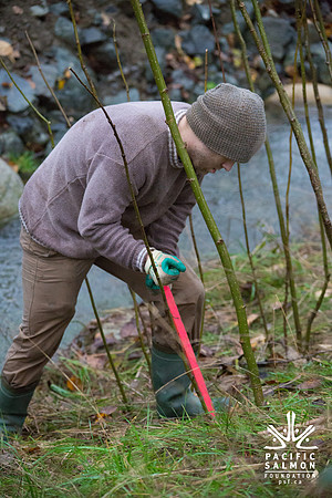 TRESTLE PLANTING - BROWNLANDS WETLAND RESTORATION PROJECT - Sombilon Photography-76