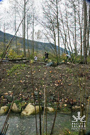 TRESTLE PLANTING - BROWNLANDS WETLAND RESTORATION PROJECT - Sombilon Photography-85