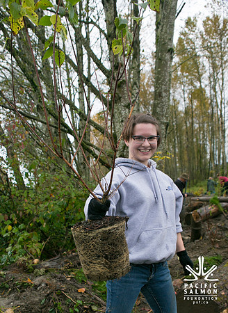TRESTLE PLANTING - BROWNLANDS WETLAND RESTORATION PROJECT - Sombilon Photography-4