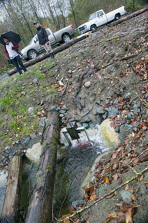 TRESTLE PLANTING - BROWNLANDS WETLAND RESTORATION PROJECT - Sombilon Photography-154