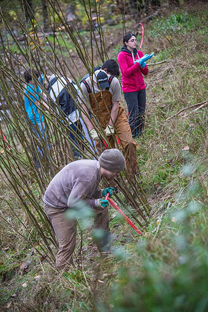 TRESTLE PLANTING - BROWNLANDS WETLAND RESTORATION PROJECT - Sombilon Photography-69