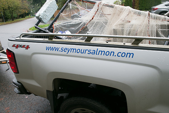 Seymour Salmon Society Fish Rescue - Sombilon Photography