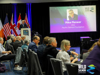 I - Wild Salmon Connections -PSF-8