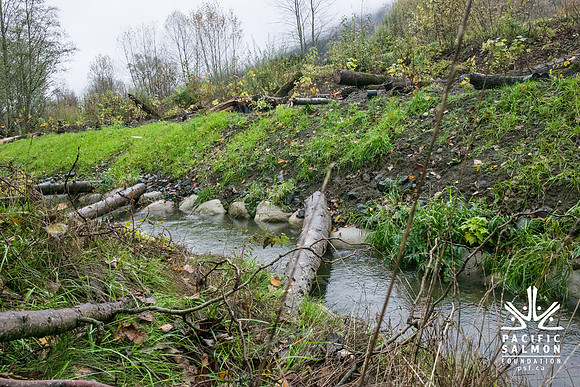 TRESTLE PLANTING - BROWNLANDS WETLAND RESTORATION PROJECT - Sombilon Photography-26