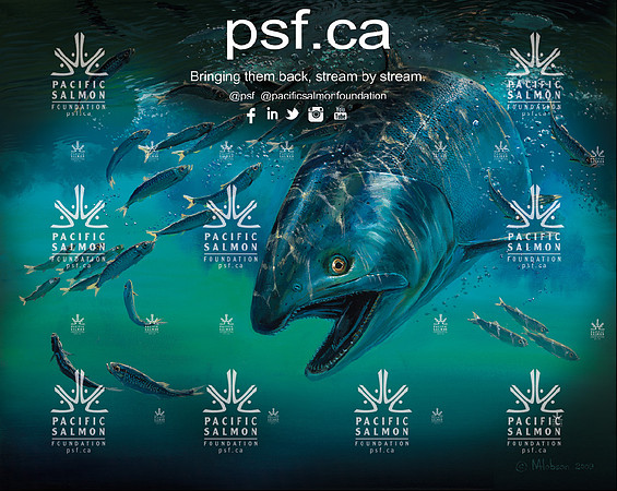 PSF BACKDROP TEST-11