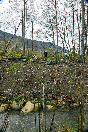 TRESTLE PLANTING - BROWNLANDS WETLAND RESTORATION PROJECT - Sombilon Photography-85