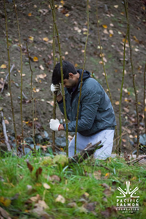 TRESTLE PLANTING - BROWNLANDS WETLAND RESTORATION PROJECT - Sombilon Photography-74