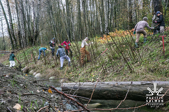 TRESTLE PLANTING - BROWNLANDS WETLAND RESTORATION PROJECT - Sombilon Photography-92