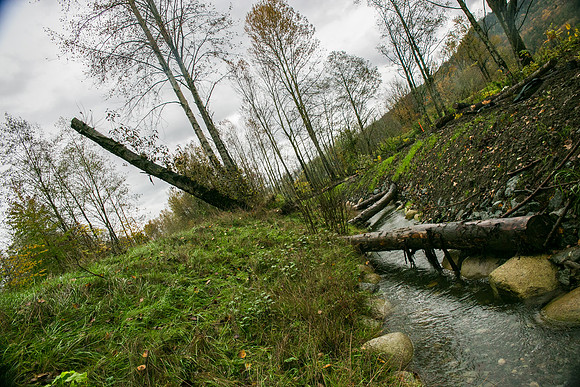 TRESTLE PLANTING - BROWNLANDS WETLAND RESTORATION PROJECT - Sombilon Photography-129