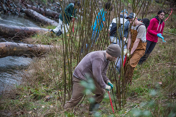 TRESTLE PLANTING - BROWNLANDS WETLAND RESTORATION PROJECT - Sombilon Photography-68