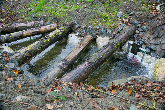 TRESTLE PLANTING - BROWNLANDS WETLAND RESTORATION PROJECT - Sombilon Photography-155