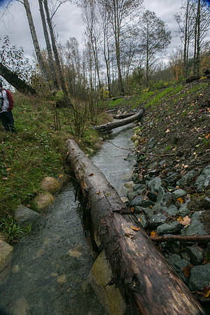TRESTLE PLANTING - BROWNLANDS WETLAND RESTORATION PROJECT - Sombilon Photography-104