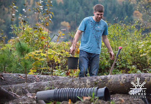 TRESTLE PLANTING - BROWNLANDS WETLAND RESTORATION PROJECT - Sombilon Photography-89