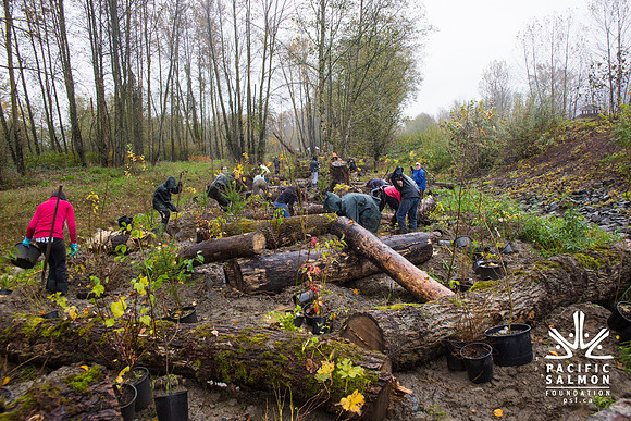 TRESTLE PLANTING - BROWNLANDS WETLAND RESTORATION PROJECT - Sombilon Photography-199