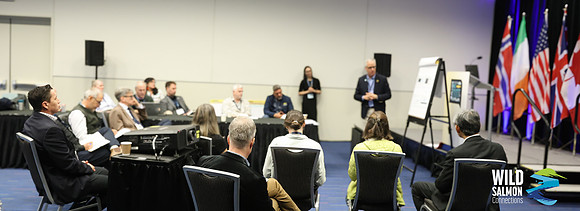 I - Wild Salmon Connections -PSF-177