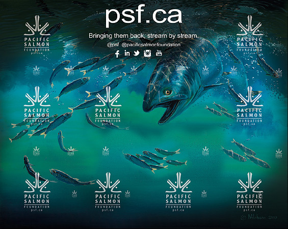 PSF BACKDROP TEST-10