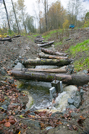 TRESTLE PLANTING - BROWNLANDS WETLAND RESTORATION PROJECT - Sombilon Photography-146