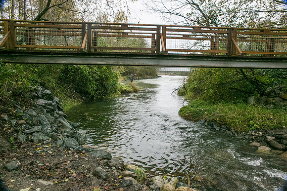 TRESTLE PLANTING - BROWNLANDS WETLAND RESTORATION PROJECT - Sombilon Photography-40