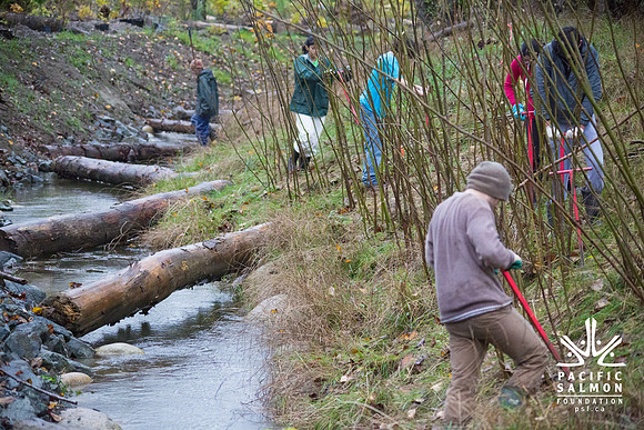 TRESTLE PLANTING - BROWNLANDS WETLAND RESTORATION PROJECT - Sombilon Photography-84