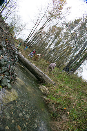 TRESTLE PLANTING - BROWNLANDS WETLAND RESTORATION PROJECT - Sombilon Photography-93