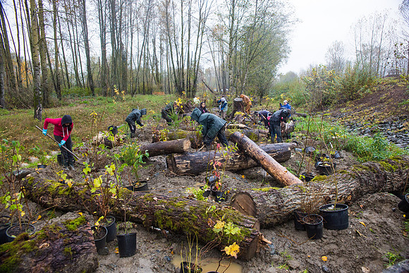 TRESTLE PLANTING - BROWNLANDS WETLAND RESTORATION PROJECT - Sombilon Photography-202