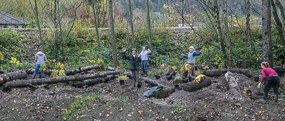 TRESTLE PLANTING - BROWNLANDS WETLAND RESTORATION PROJECT - Sombilon Photography-59