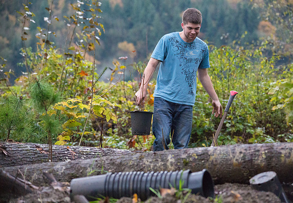 TRESTLE PLANTING - BROWNLANDS WETLAND RESTORATION PROJECT - Sombilon Photography-89
