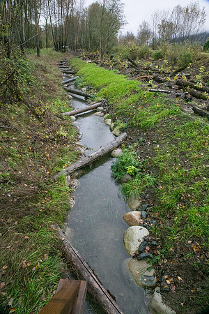 TRESTLE PLANTING - BROWNLANDS WETLAND RESTORATION PROJECT - Sombilon Photography-21