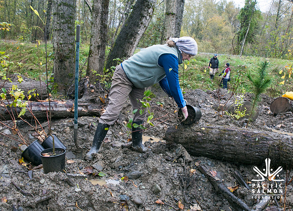 TRESTLE PLANTING - BROWNLANDS WETLAND RESTORATION PROJECT - Sombilon Photography-117