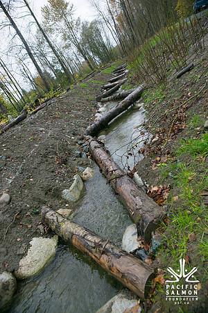 TRESTLE PLANTING - BROWNLANDS WETLAND RESTORATION PROJECT - Sombilon Photography-138