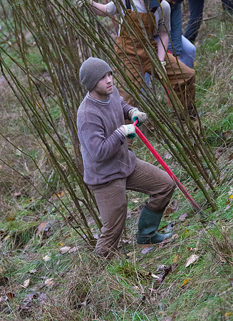 TRESTLE PLANTING - BROWNLANDS WETLAND RESTORATION PROJECT - Sombilon Photography-73