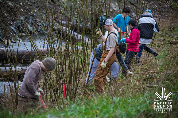 TRESTLE PLANTING - BROWNLANDS WETLAND RESTORATION PROJECT - Sombilon Photography-63