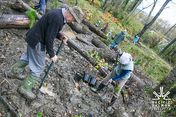 TRESTLE PLANTING - BROWNLANDS WETLAND RESTORATION PROJECT - Sombilon Photography-121